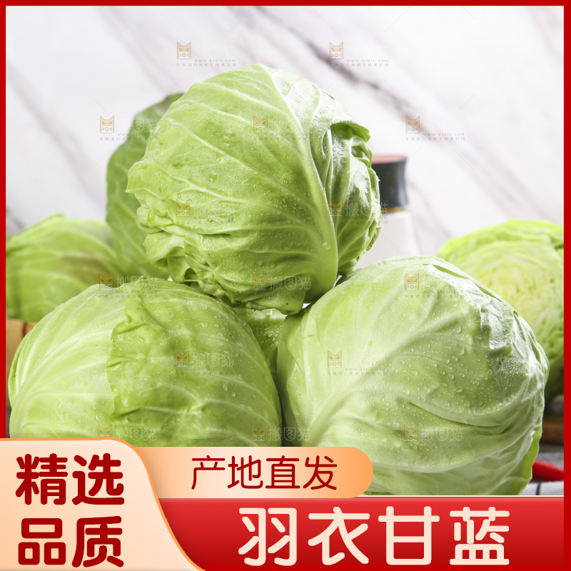盘子里装着包心菜
