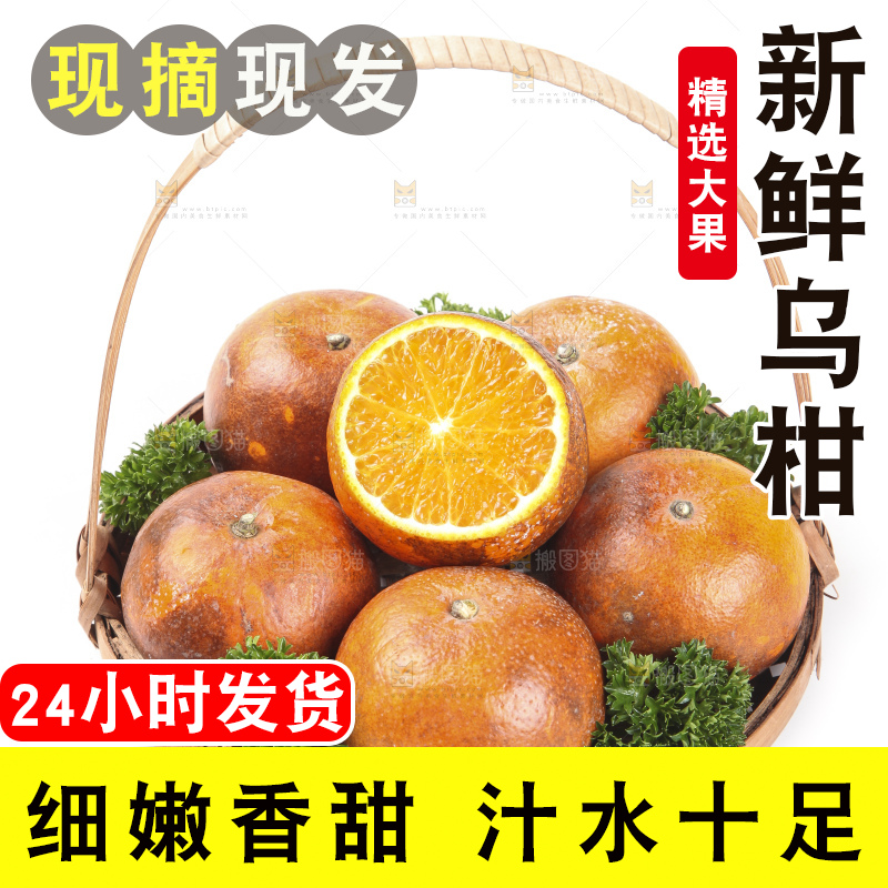篮子里的广西乌柑