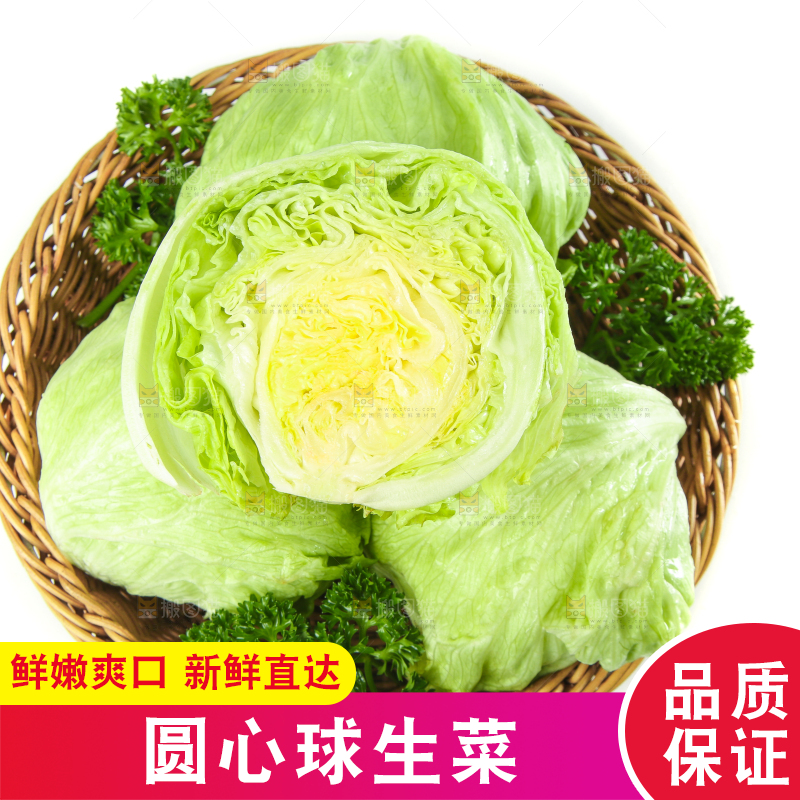 篮子里装着农家圆生菜
