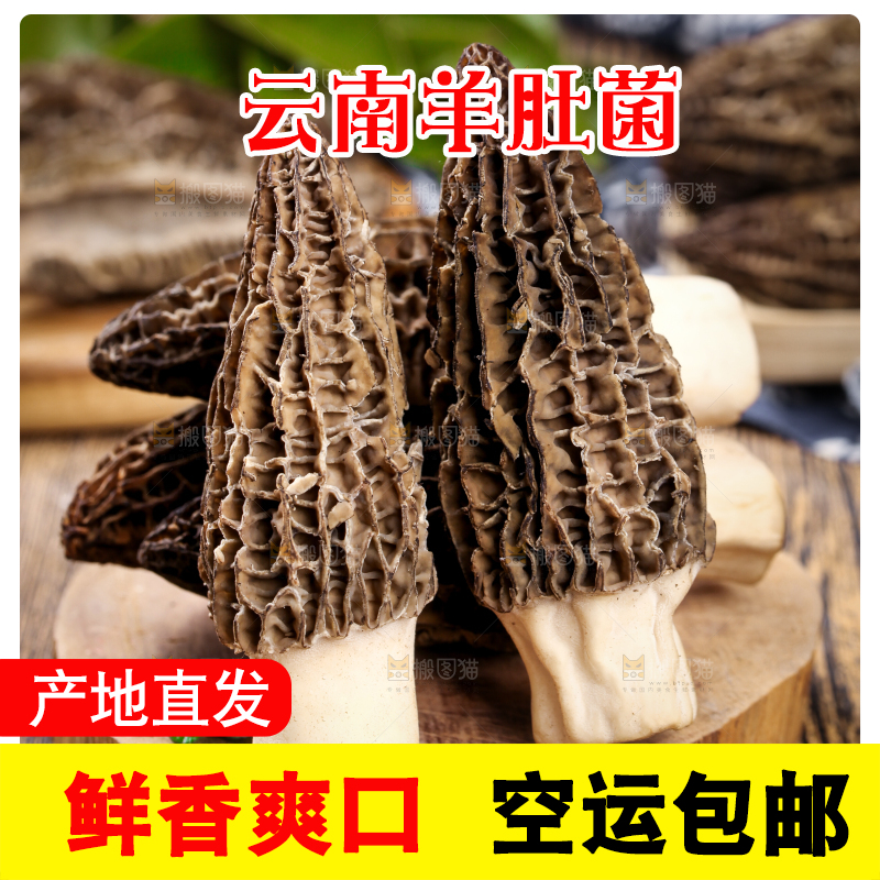 木底上放着羊肚菌