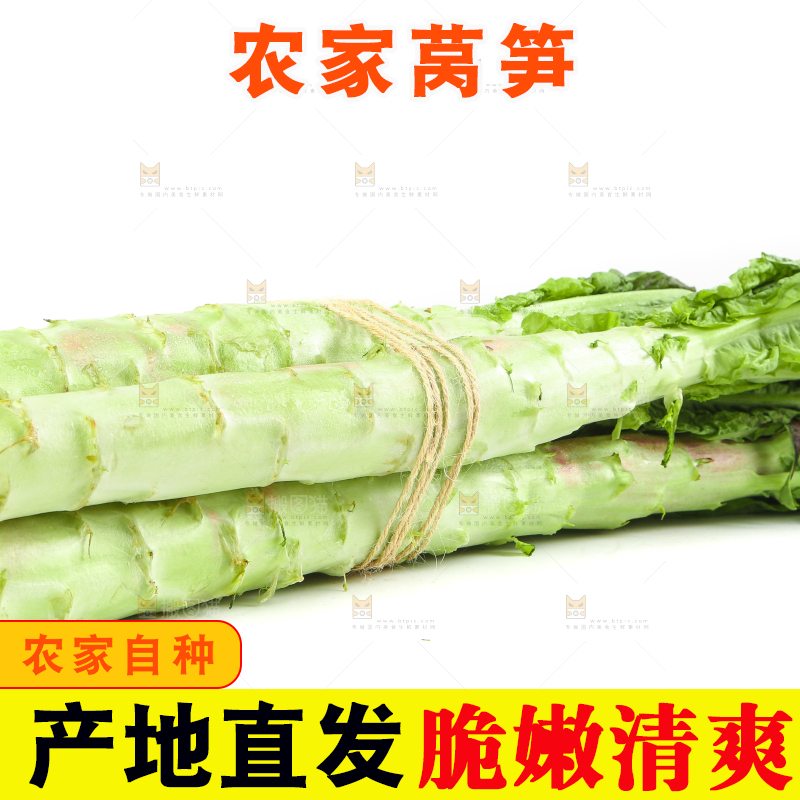 白底上摆放着莴笋