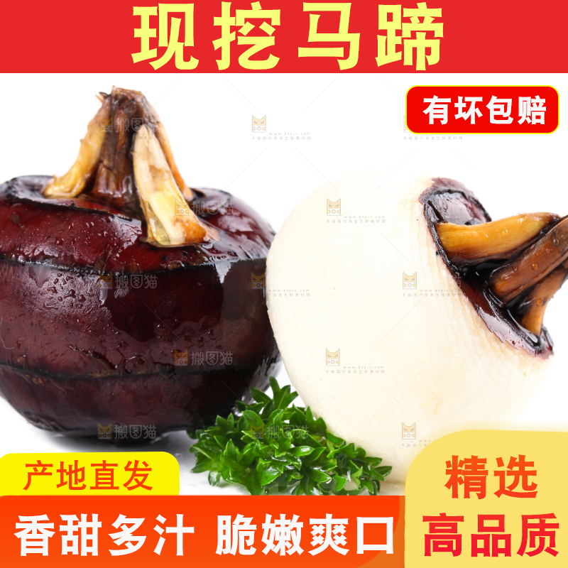 白底上摆放着乐昌北乡马蹄