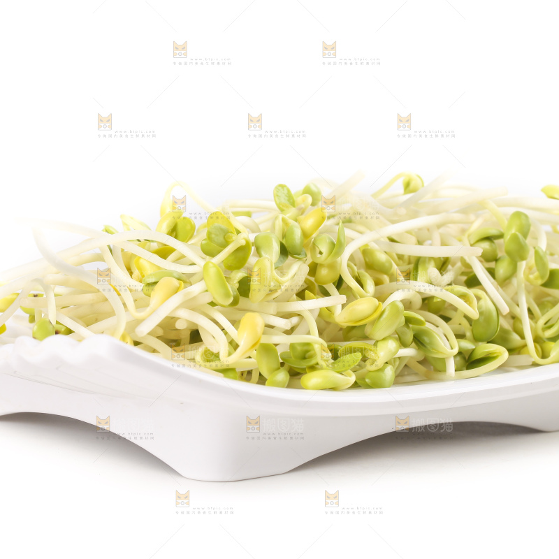 白底上的豆芽