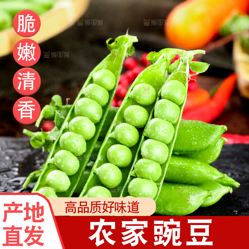 黑底上的青豌豆