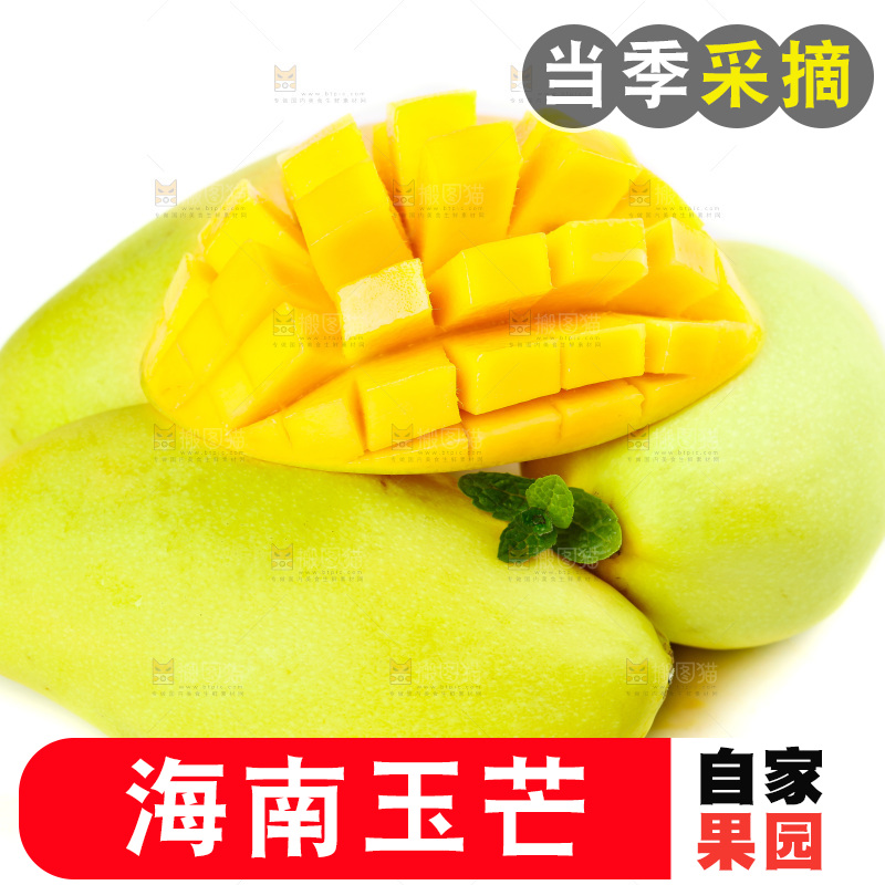 白底上放着芒果