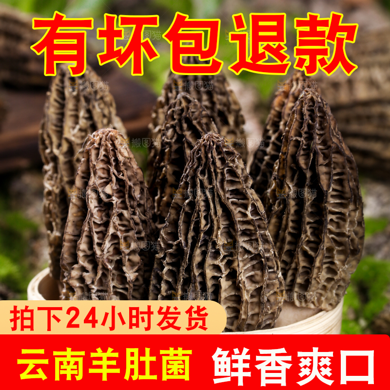 篮子里放着羊肚菌