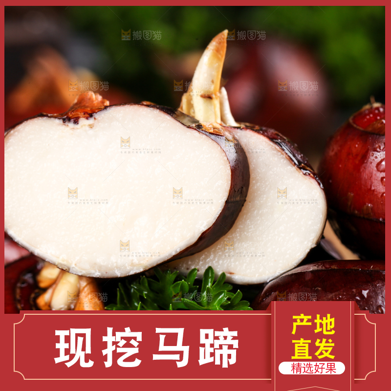 篮子里的红马蹄