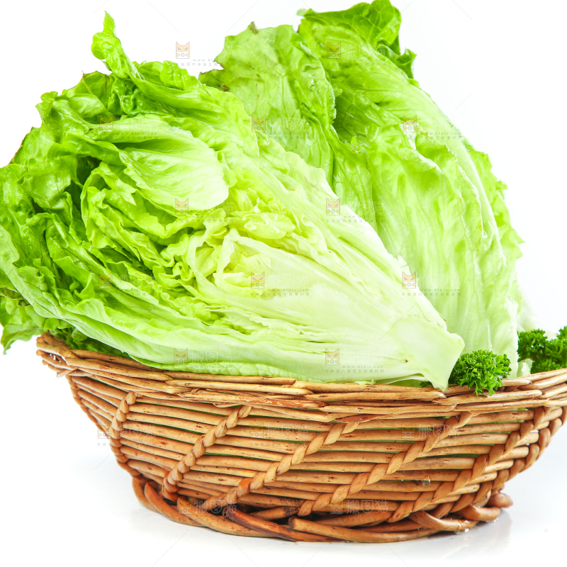 篮子里装着奶油生菜