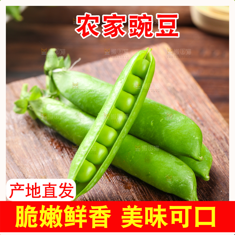 木底上的云南豌豆