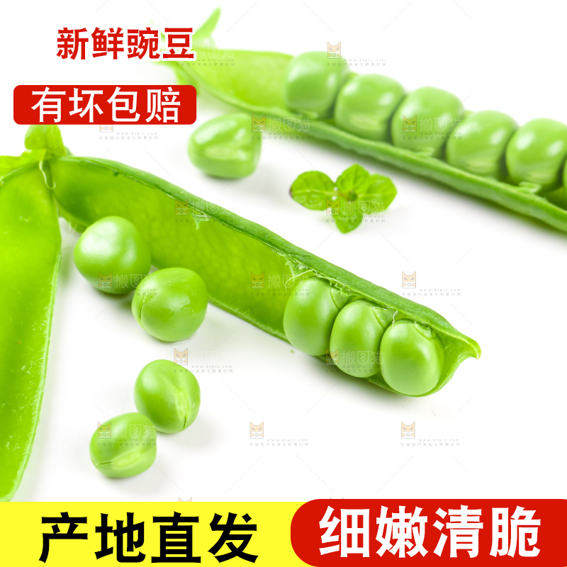 剥开的新鲜豌豆放在白底上