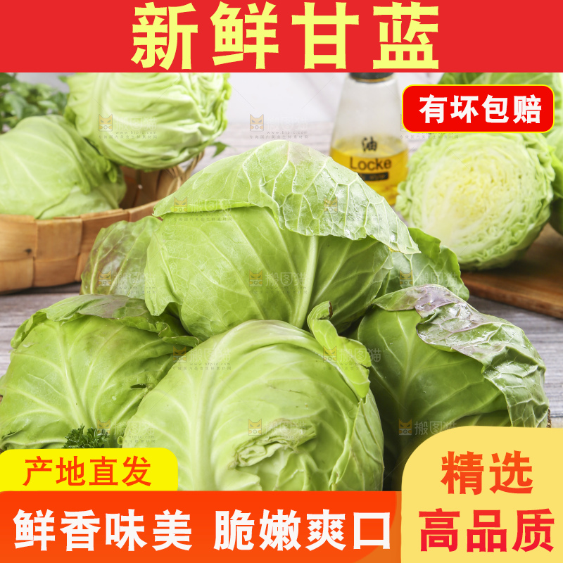 盘子里装着包心菜