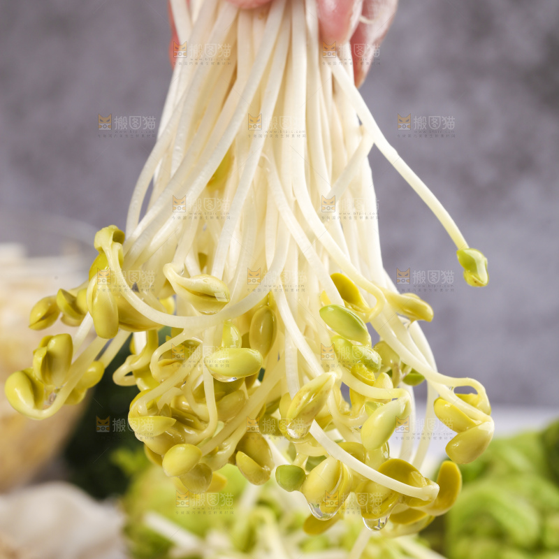手里拿着黄豆芽