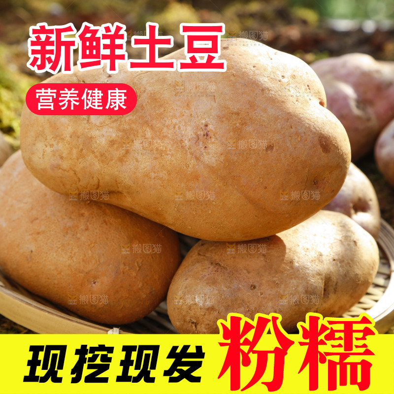 篮子里装着云南红心土豆
