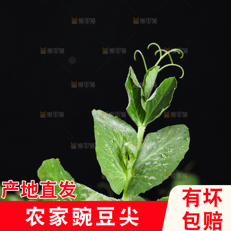 木板上放着农家豌豆尖