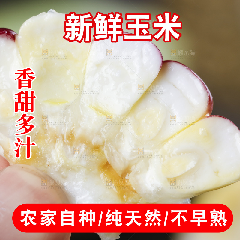 手拿切开的花糯玉米