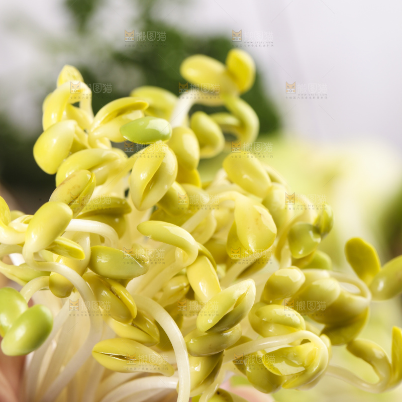 手里拿着黄豆芽