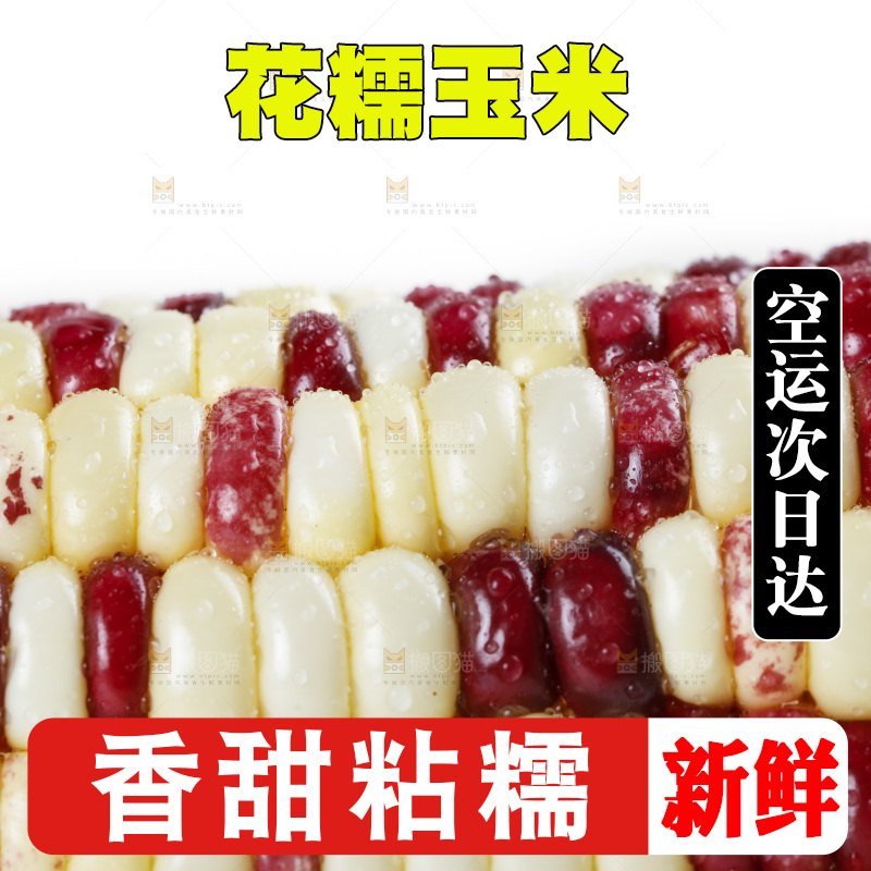 剥皮的花糯玉米放在白底上