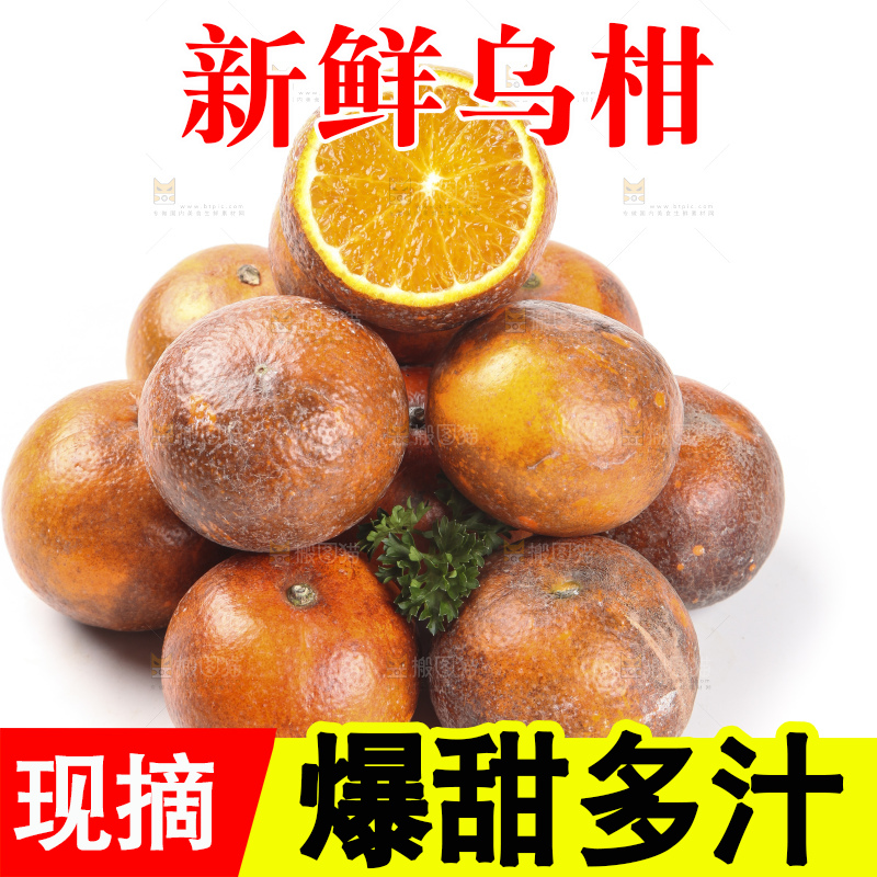 白底上摆放着乌柑