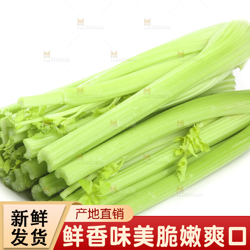 白底上的山东西芹