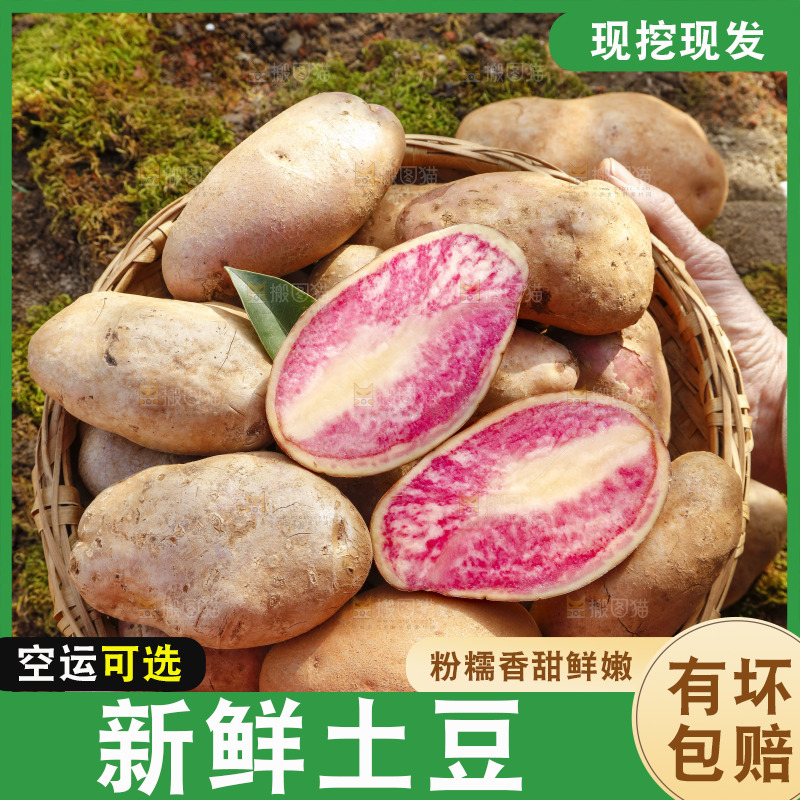 篮子里装着云南红心土豆