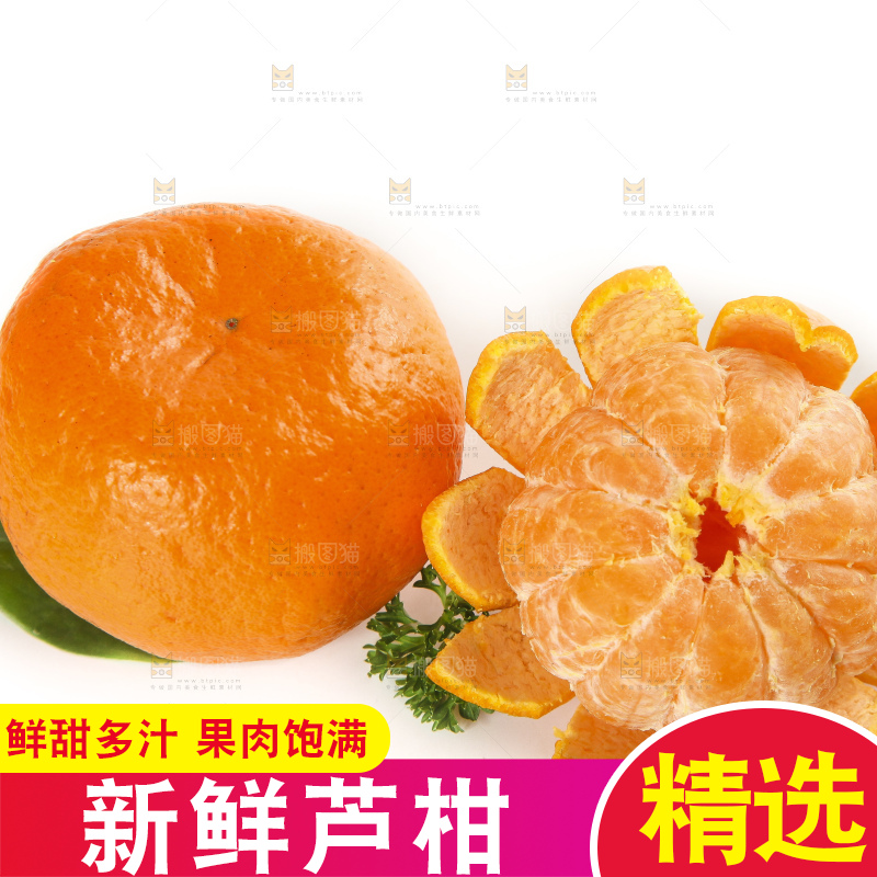 白底上的椪柑橘