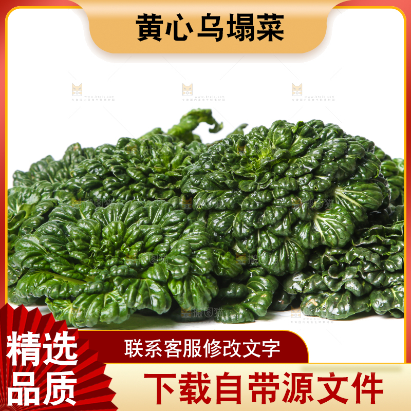 白底上的菊花菜