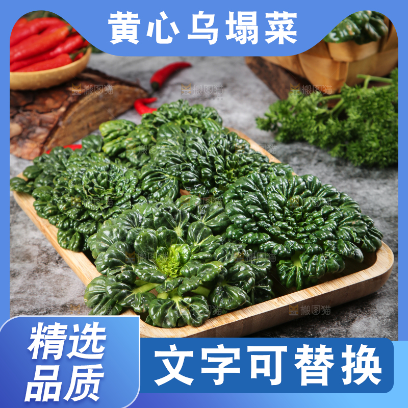 篮子里装着乌塌菜