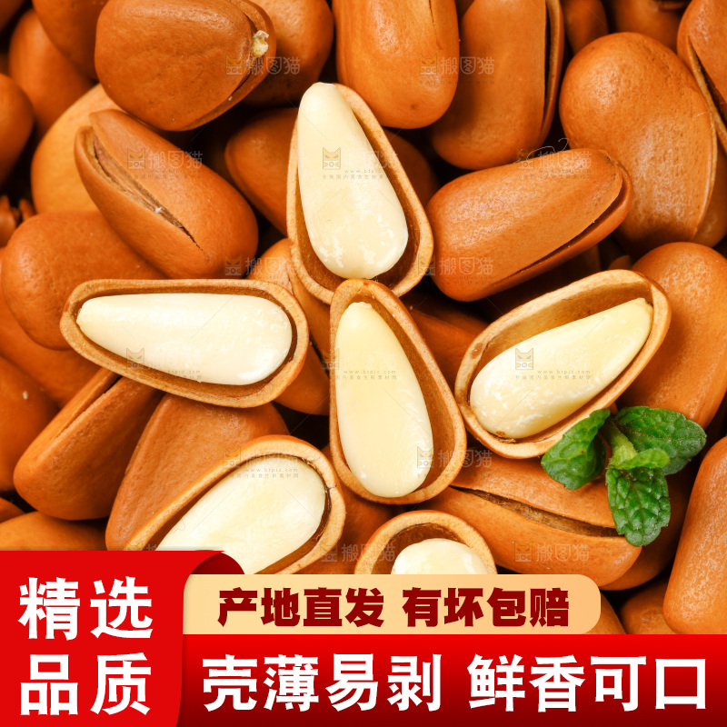深底上摆放着松子