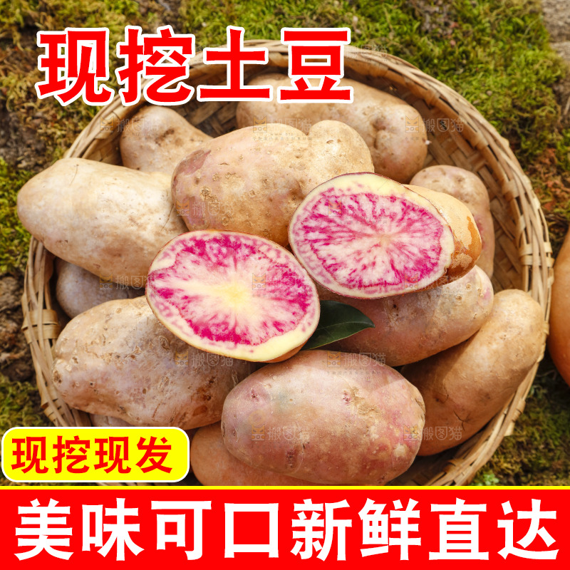 篮子里装着云南红心土豆