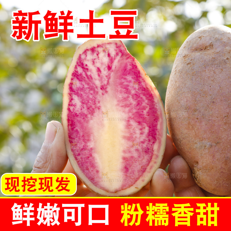 手里拿着丽江七彩土豆