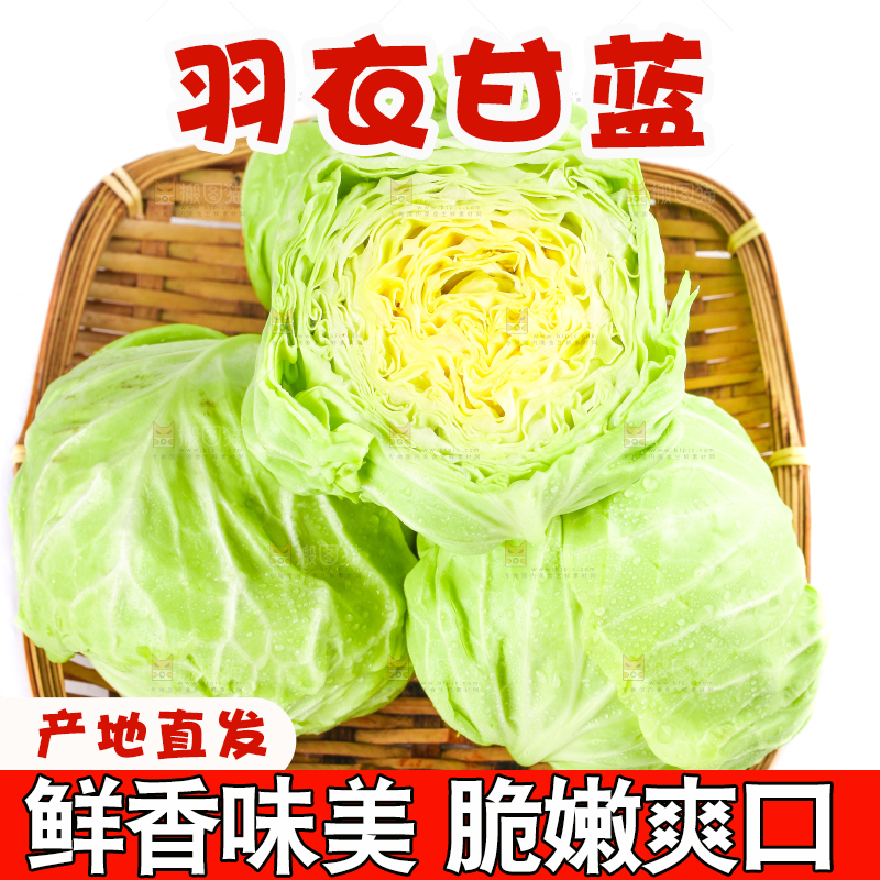篮子里装绿甘蓝