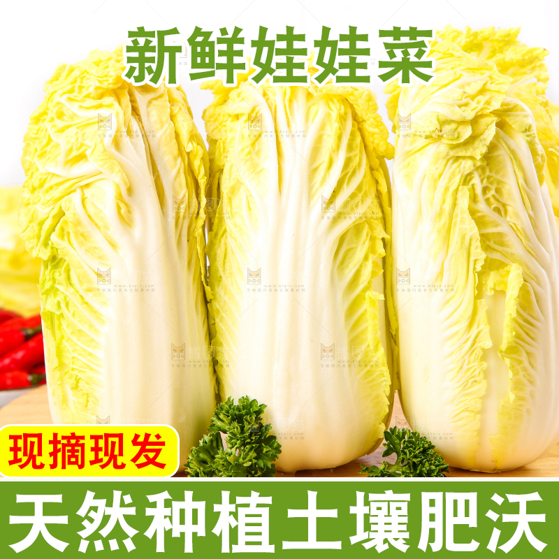 木板上放着高山娃娃菜
