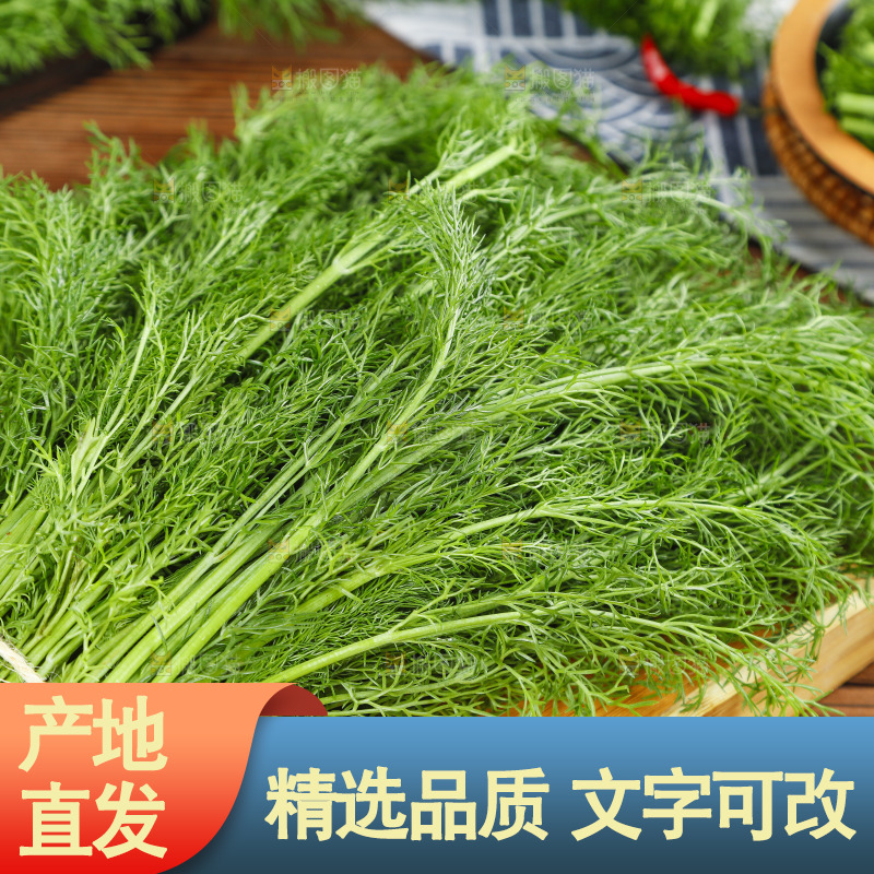 木板上的土茴香
