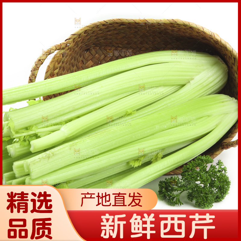 白底上的山东西芹
