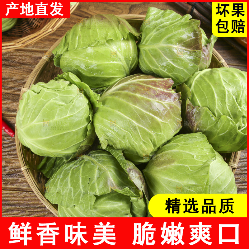 篮子里装着绿甘蓝