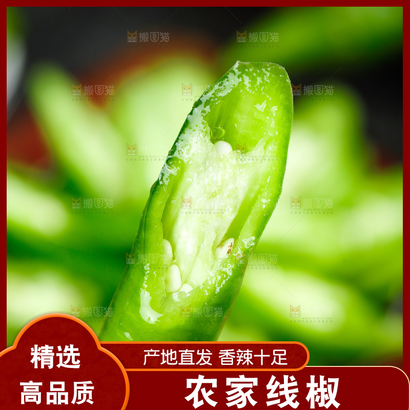 手里拿着二荆条辣椒