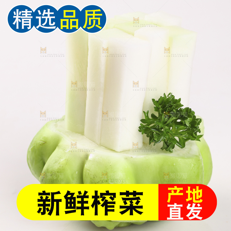 百底上的光头菜条