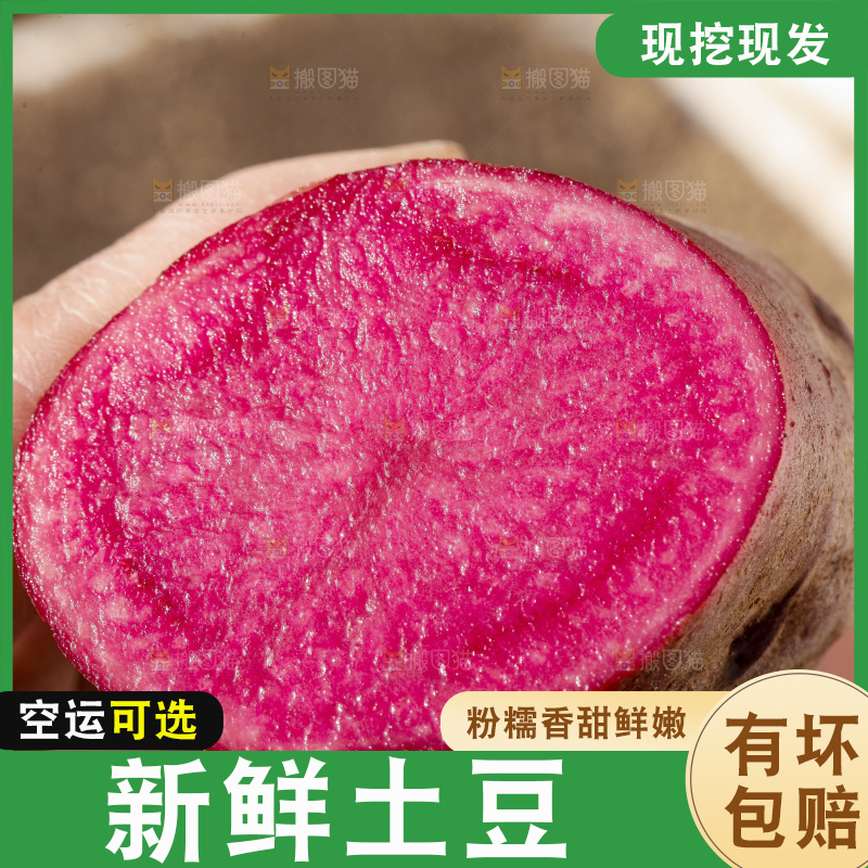 土地上放着红心土豆