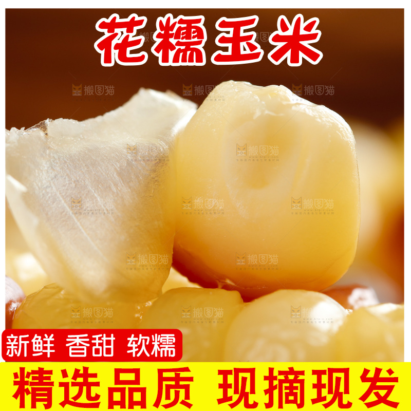浅底上剥皮的熟花糯玉米