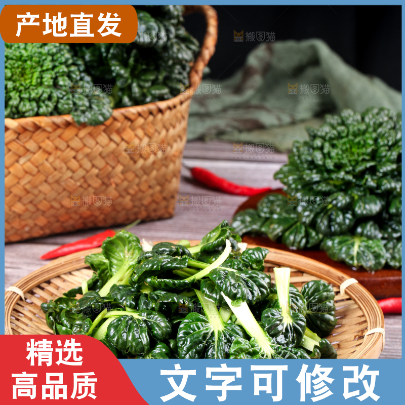 篮子里的新鲜菊花菜