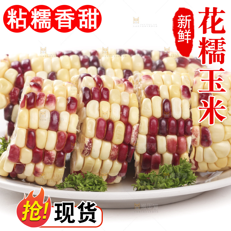 白底上放着一盘糯玉米