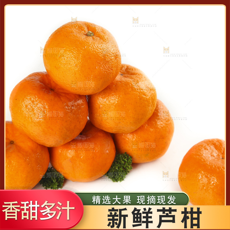 白底上摆放着福建永春芦柑