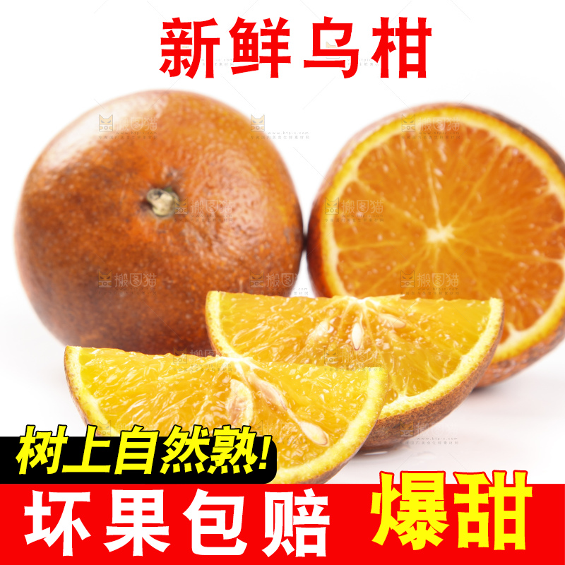 白底上放着新鲜乌柑