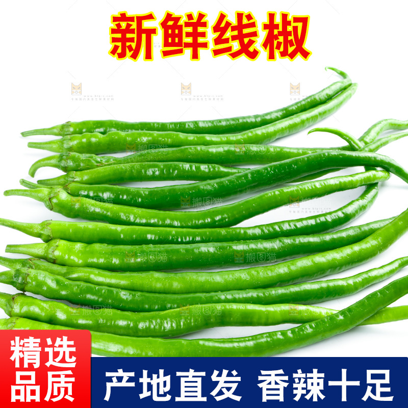 白底上放着二荆条辣椒