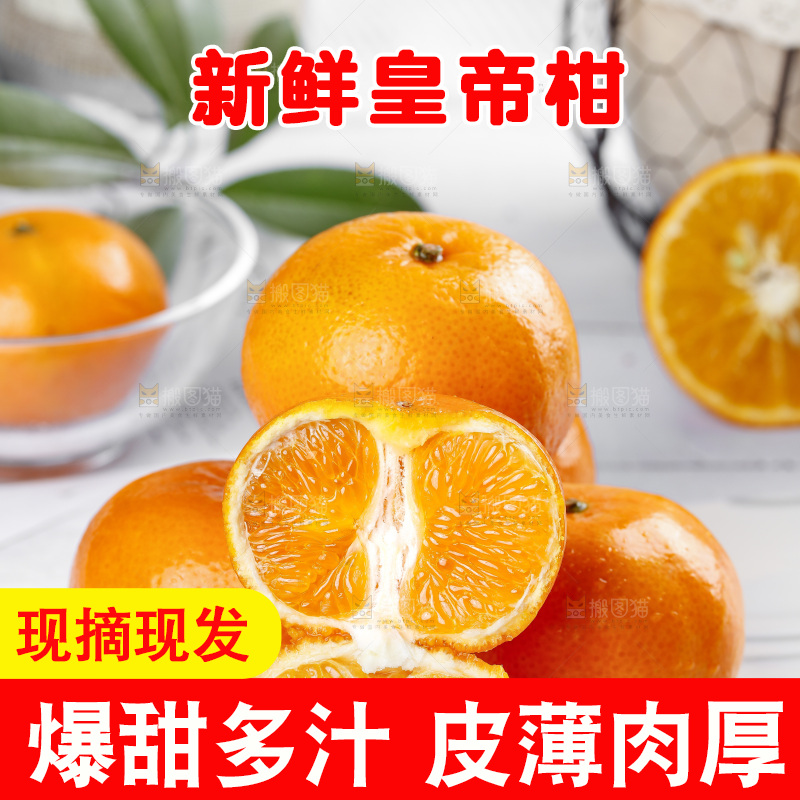 石板上的广西皇帝柑