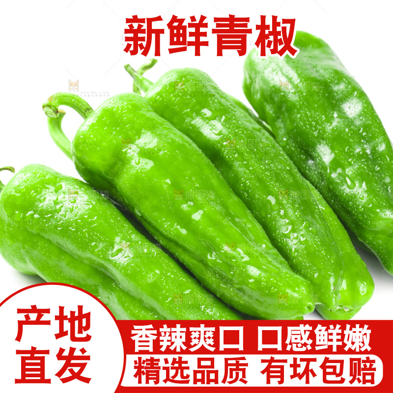 白底上的大青椒