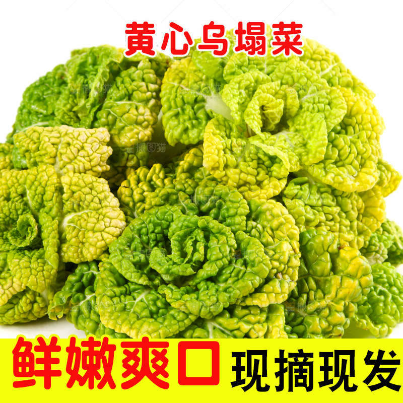 白底上摆放着黄心白菜
