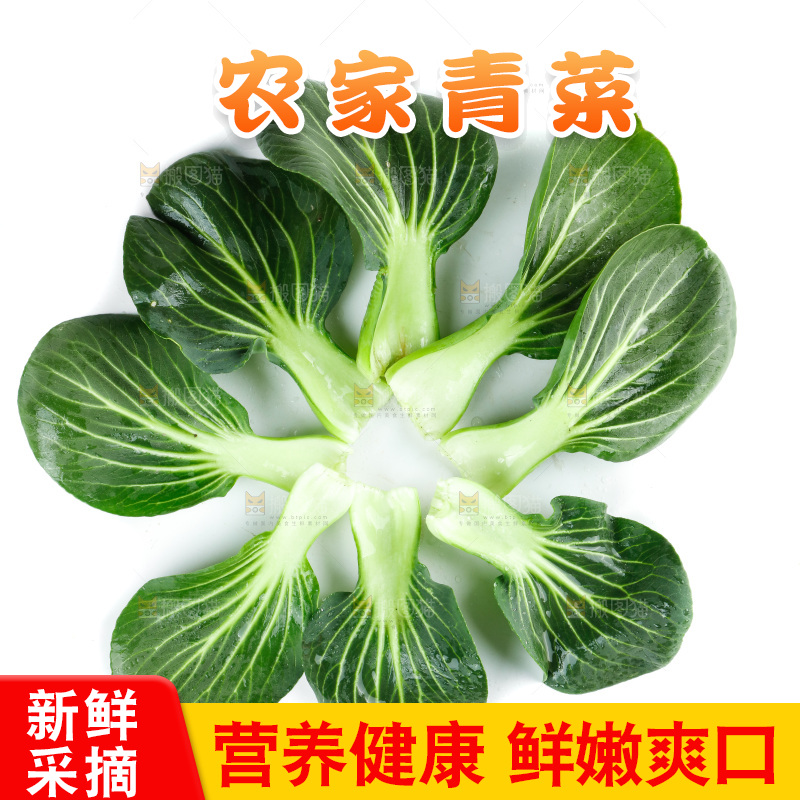 白底上的绿叶菜