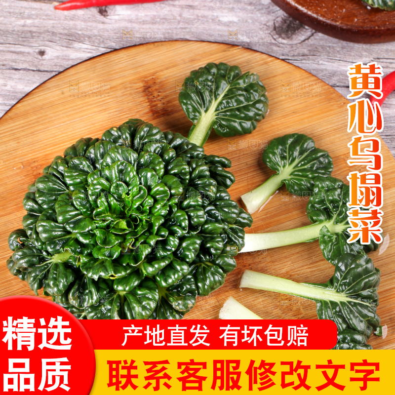 木板上放着菊花菜