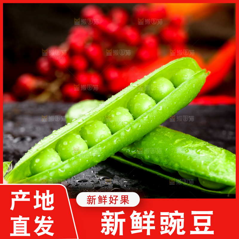 黑底上的青豌豆